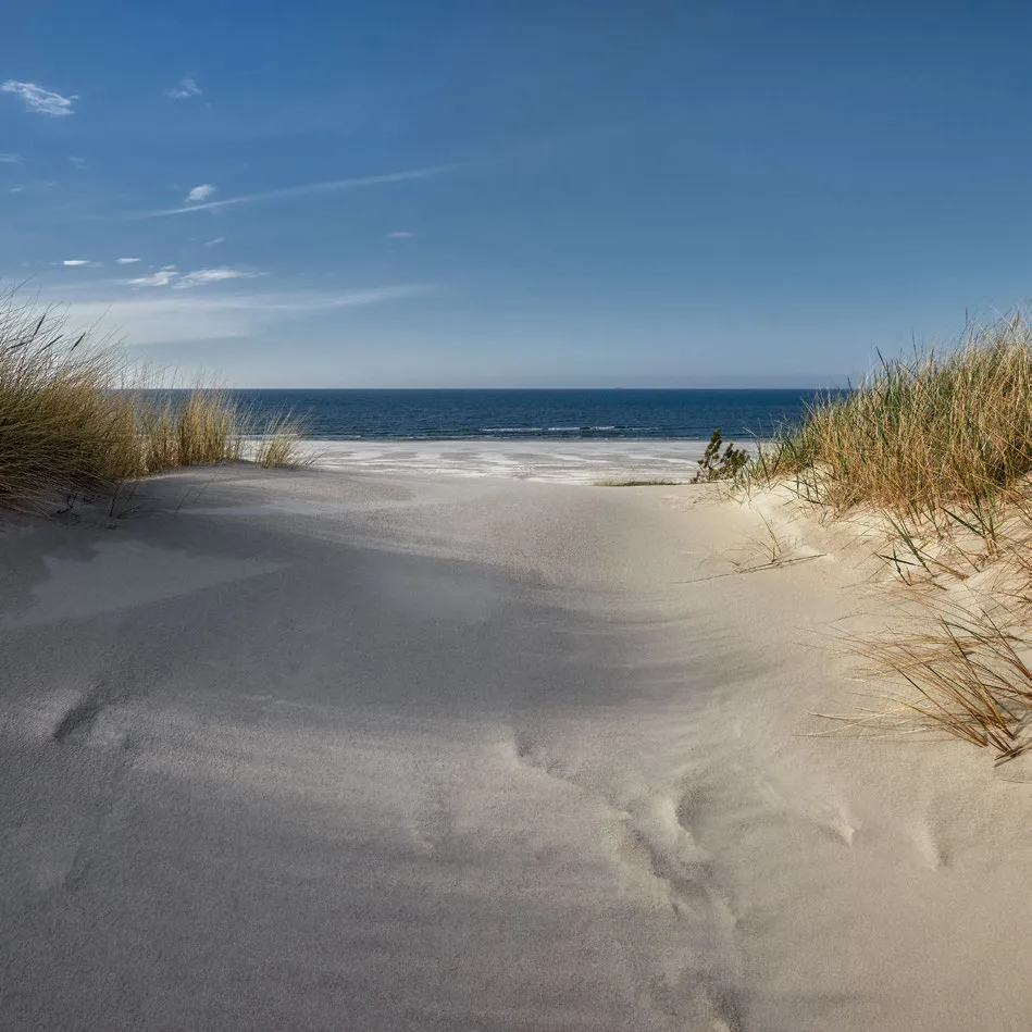 De duinovergang naar het strand van Bergen aan Zee